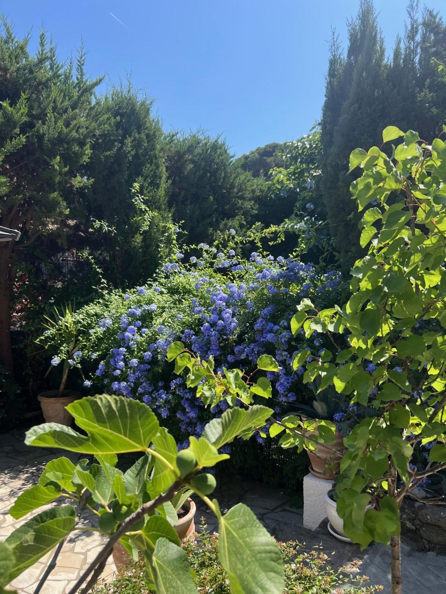 Superbe Appartement Avec Terrasse Jardin Et Parking Prive Saint-Tropez Buitenkant foto